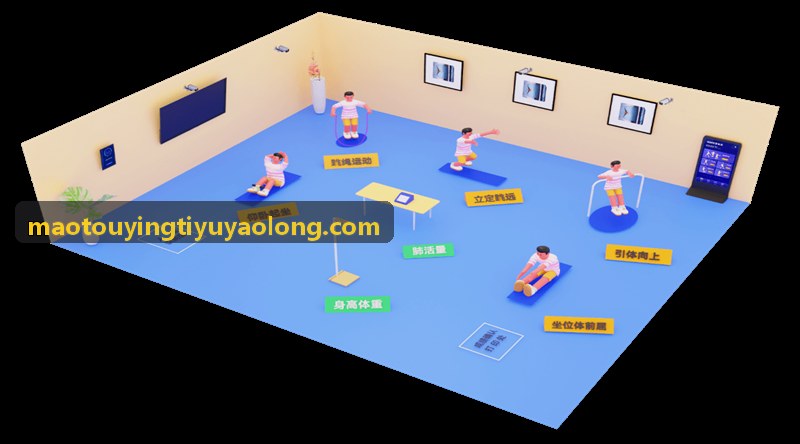 猫头鹰体育在球拍球具与精细器材的批次序列号管理